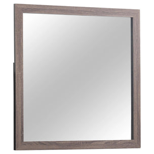 Mirror