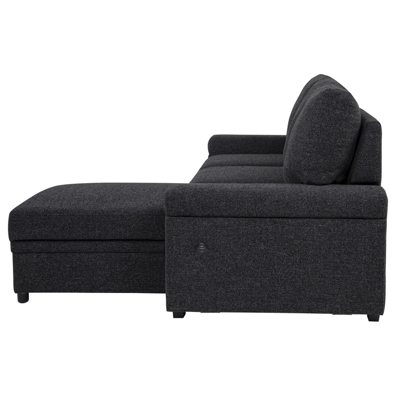 Demko Sleeper Sectional Sofa