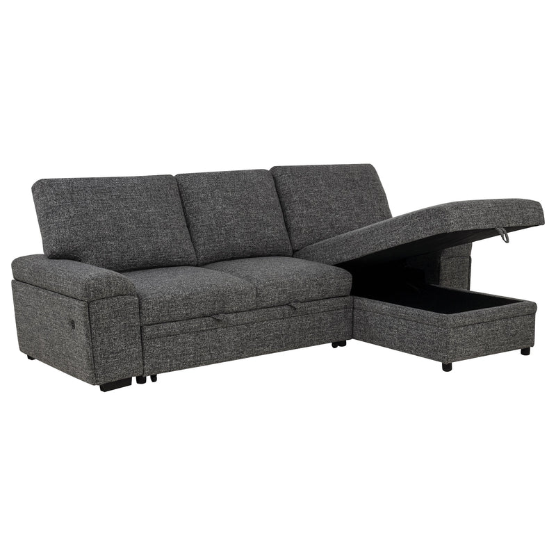 Demko Sleeper Sectional Sofa
