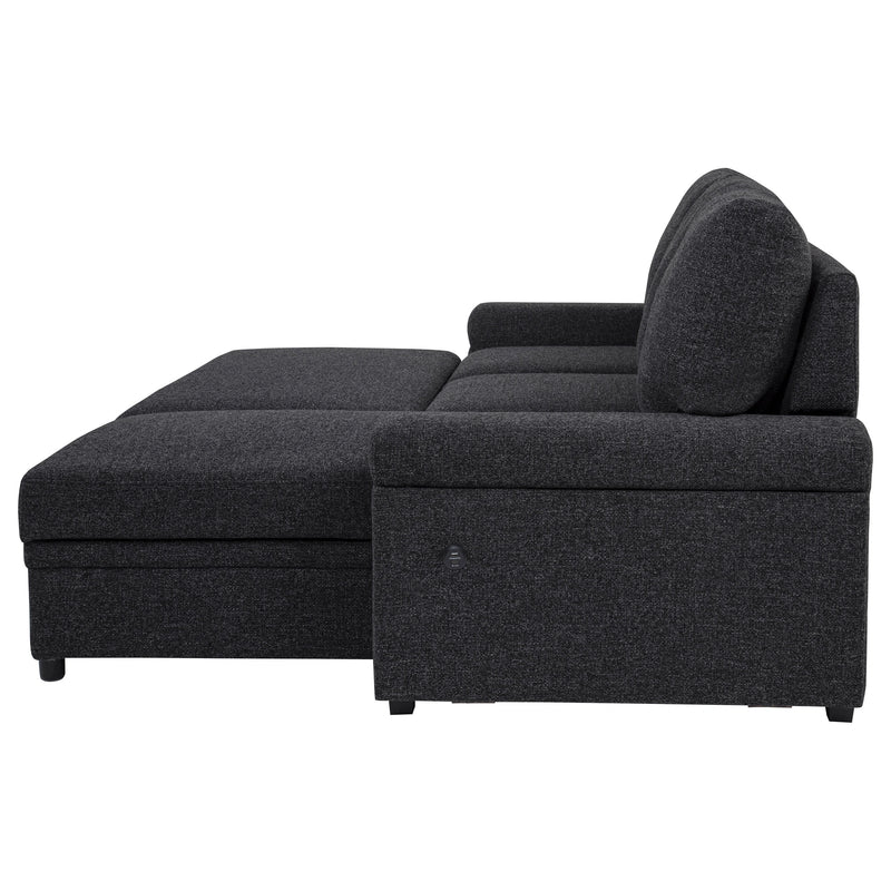 Demko Sleeper Sectional Sofa