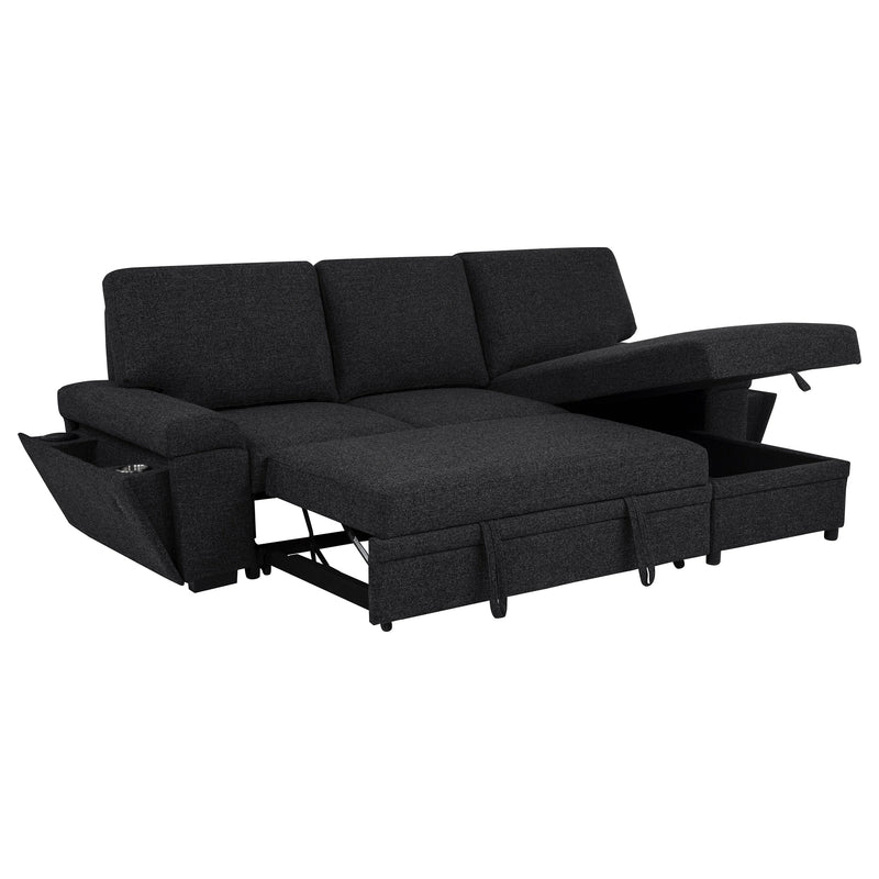 Demko Sleeper Sectional Sofa