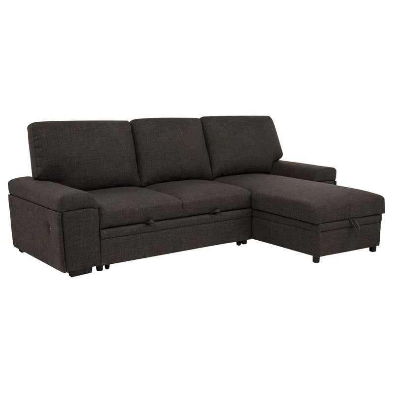 Demko Sleeper Sectional Sofa