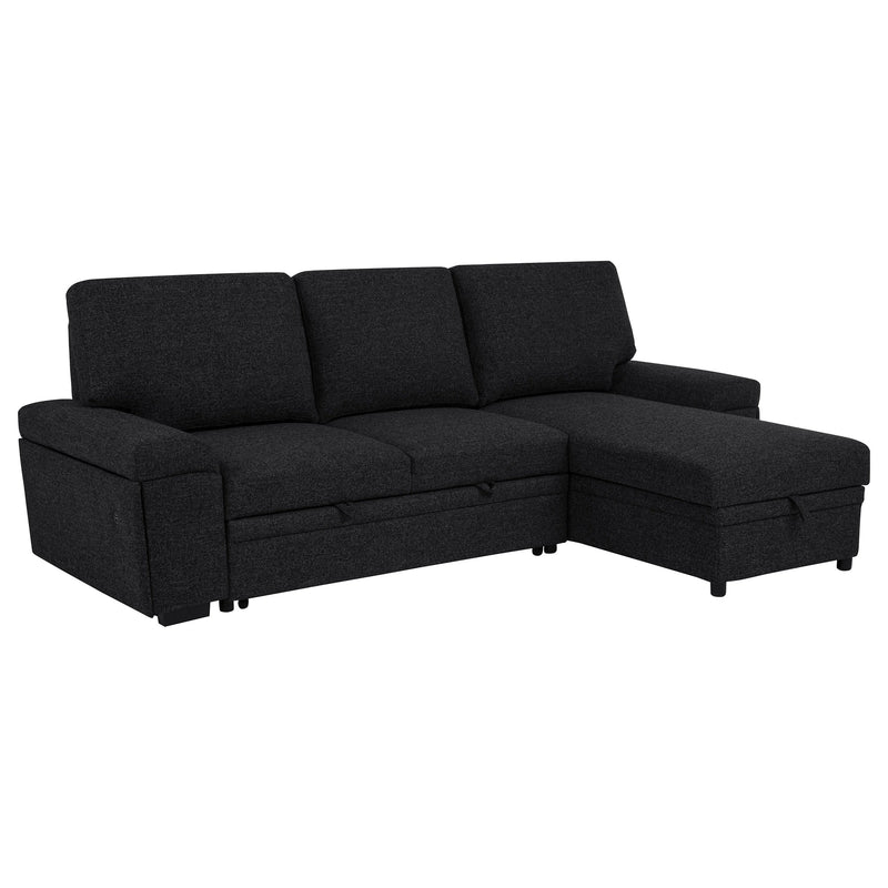 Demko Sleeper Sectional Sofa