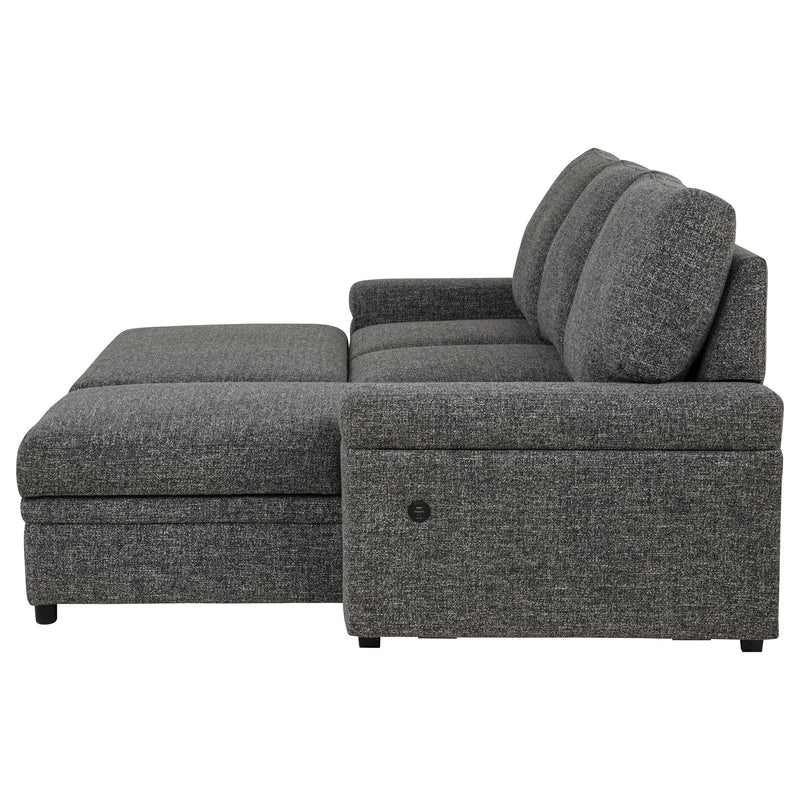 Demko Sleeper Sectional Sofa