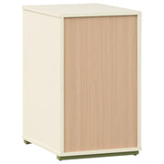 Evren Twin Loft Bed